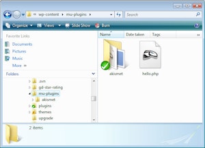 mu-plugins As seen on my local WP development environment