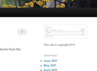 widget-with-image